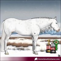 Horse Color:Gray White Spotted Silver Smoky Grullo Pearl Sabino Brindle 