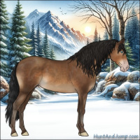 Horse Color:Gray Sable Champagne Sabino