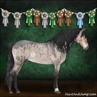 Horse Color:Brown Roan Dun Sabino Brindle 