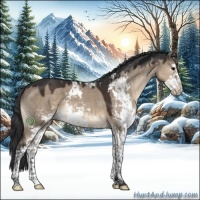 Horse Color:Brown Dun Sabino 