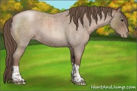 Horse Color:Blue Roan Pearl Tobiano 