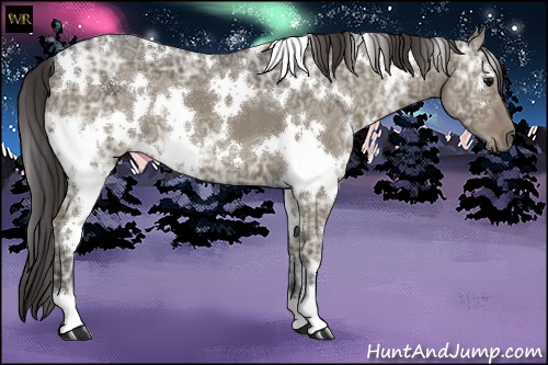 Horse Color:White Spotted Smoky Grullo Ice Roan 