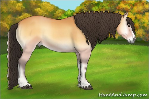 Horse Color:Buckskin Onyx 