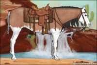 Horse Color:Bay Roan Splash 