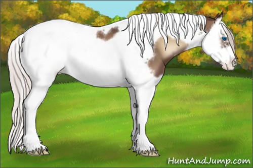 Horse Color:Silver Blue Onyx Splash Tobiano Frame Appaloosa 