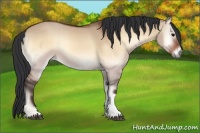 Horse Color:Bay Onyx 
