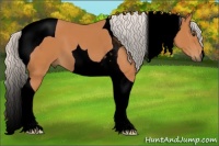 Horse Color:Void Silver Bay Tobiano 