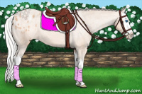 Horse Color:Silver Amber Champagne Splash Varnish 