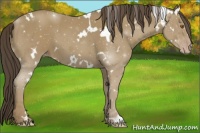 Horse Color:White Spotted Classic Cream Champagne 