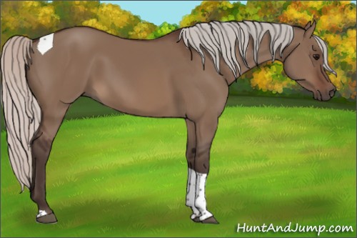 Horse Color:Silver Brown Dun Sabino Tobiano 