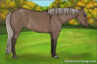 Horse Color:Silver Brown Dun 