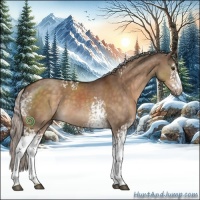 Horse Color:White Spotted Silver Brown Dun 
