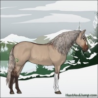 Horse Color:Silver Bay Dun 