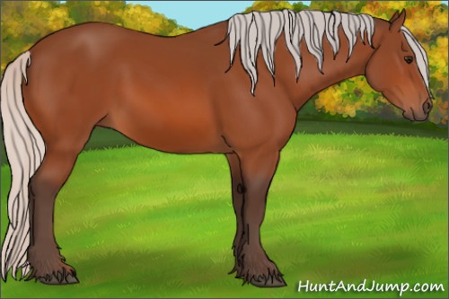 Horse Color:Silver Bay 