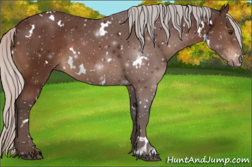 Horse Color:White Spotted Silver Brown