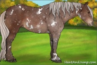 Horse Color:White Spotted Silver Brown