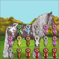 Horse Color:White Spotted Chocolate Silver Black Chinchilla 