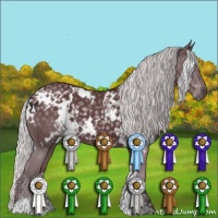 Horse Color:White Spotted Chocolate Silver Black Chinchilla 