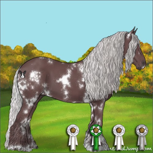 Horse Color:White Spotted Chocolate Silver Black Chinchilla 