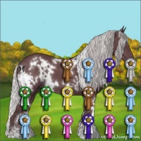 Horse Color:White Spotted Chocolate Silver Black Chinchilla 