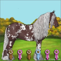 Horse Color:White Spotted Chocolate Silver Black Chinchilla 