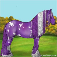 Horse Color:Watercolor White Spotted Liver Chestnut 