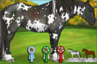 Horse Color:White Spotted Liver Chestnut 