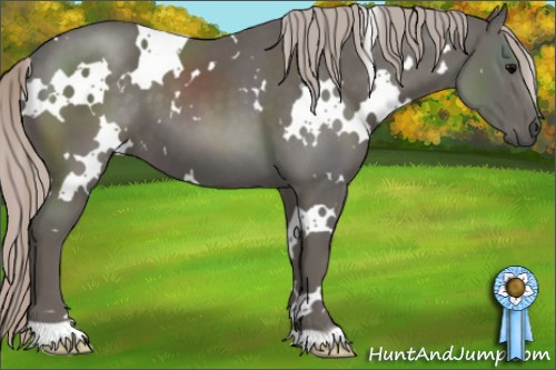 Horse Color:White Spotted Silver Black 