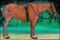 Horse Color:Silver Bay 