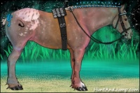 Horse Color:Silver Black Blanket 