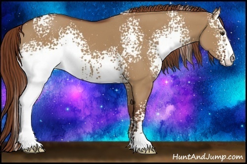 Horse Color:White Spotted Red Dun