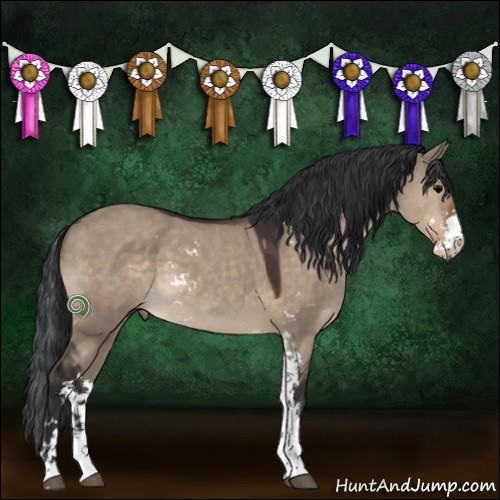 Horse Color:Brown Dun Sabino 