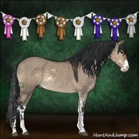 Horse Color:Brown Dun Sabino 