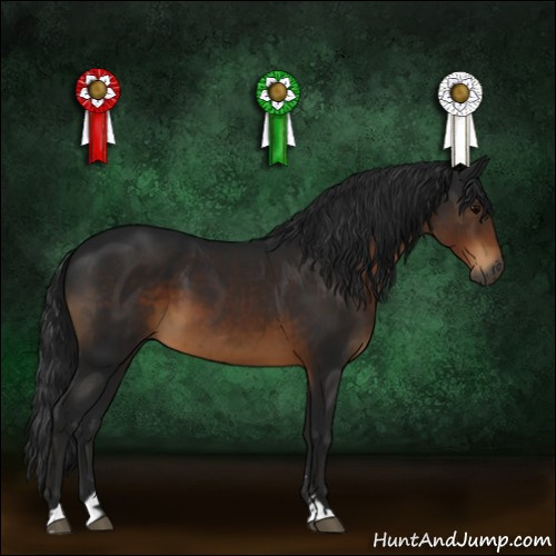 Horse Color:Gray Brown Sabino 