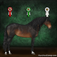 Horse Color:Gray Brown Sabino 