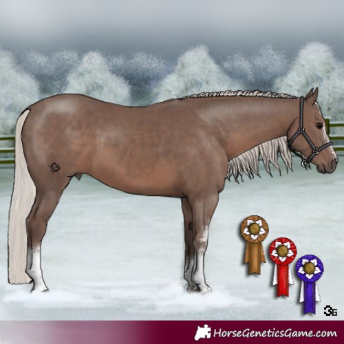 Horse Color:White Spotted Silver Black Sabino