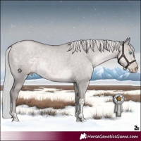 Horse Color:Gray Platinum Silver Smoky Grullo Pearl Tobiano 