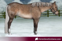 Horse Color:Silver Brown Dun Tobiano 