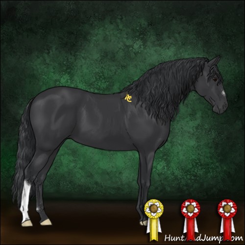 Horse Color:Black 