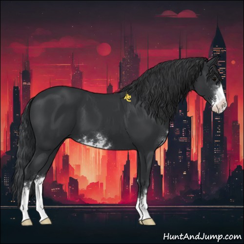 Horse Color:Black Sabino
