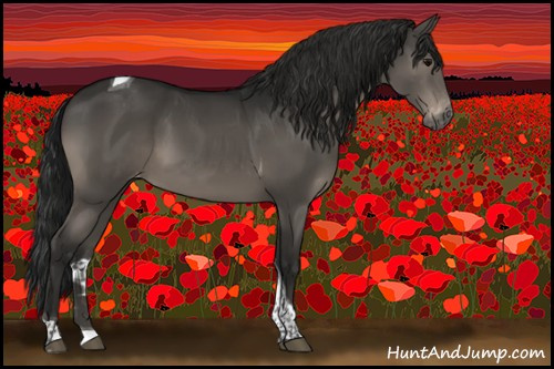 Horse Color:Gray Black Sabino Tobiano Appaloosa Rabicano 