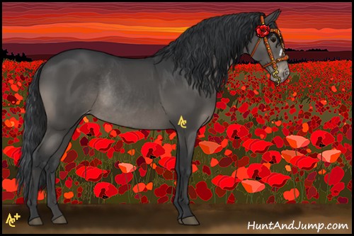 Horse Color:Black Varnish Rabicano