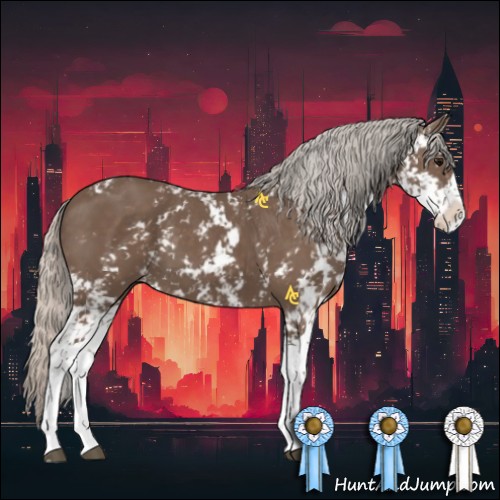 Horse Color:Silver Black Sabino 