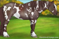 Horse Color:White Spotted Chocolate Black