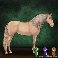 Horse Color:Gold Champagne