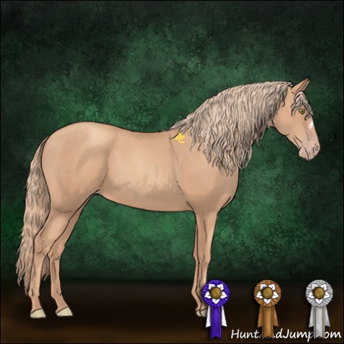 Horse Color:Gold Champagne 