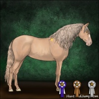 Horse Color:Gold Champagne 