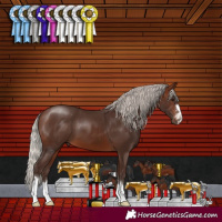 Horse Color:Silver Brown 