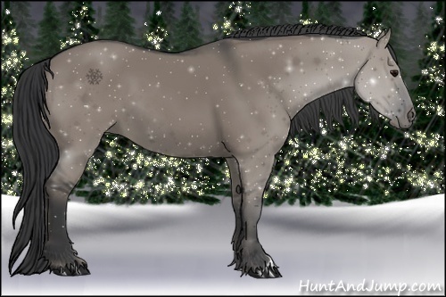 Horse Color:Grullo 