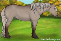 Horse Color:Silver Brown Dun 